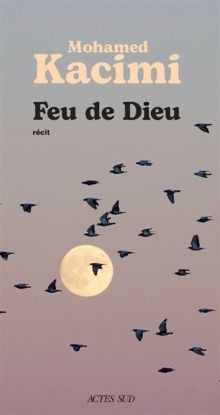 Image de Feu de Dieu : récit