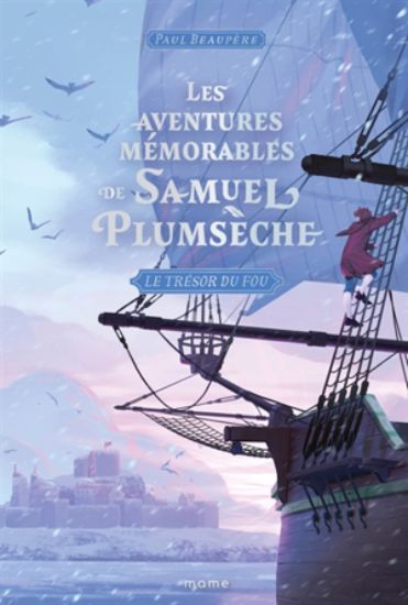 Image de Les aventures mémorables de Samuel Plumsèche. Vol. 3. Le trésor du fou